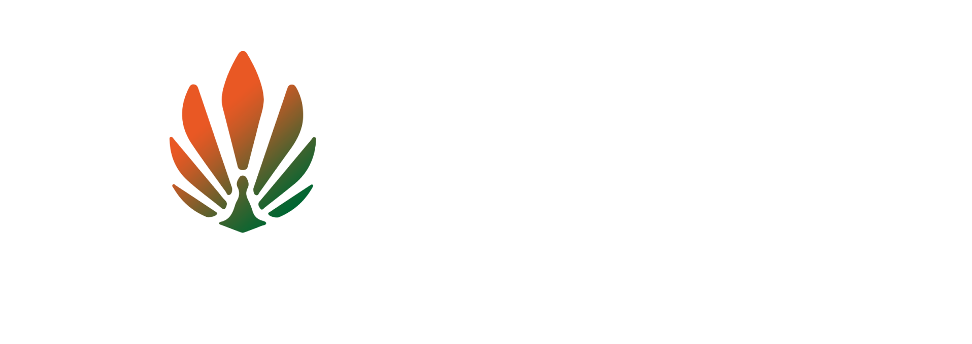 Travel Journey
